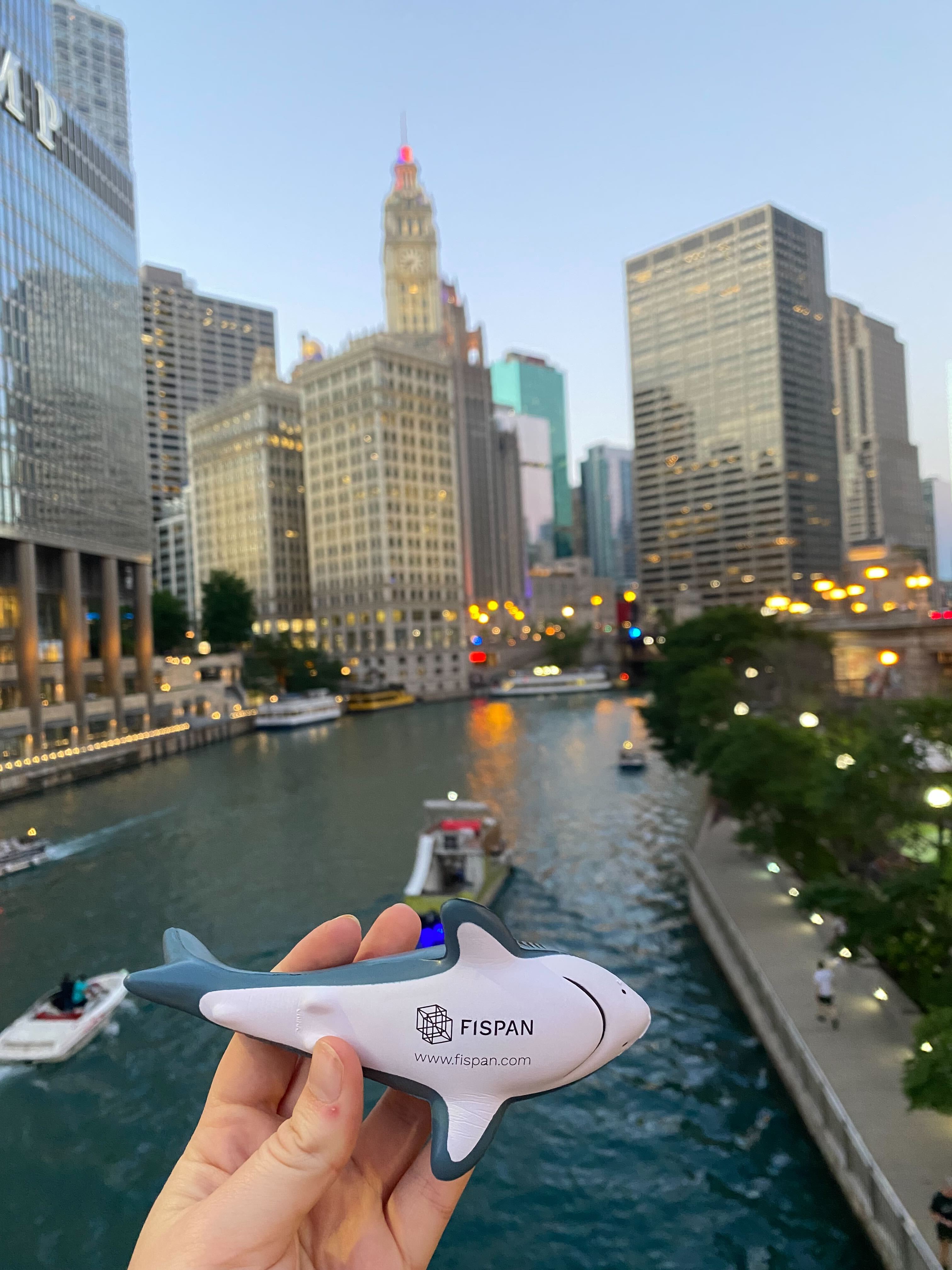 FISPAN Shark in Chicago Water